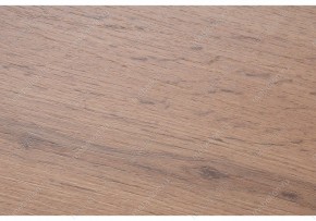 Стол письменный Битти Лофт 116 в Ноябрьске - noyabrsk.mebel24.online | фото 2