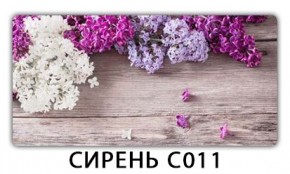 Стол раздвижной Трилогия с фотопечатью Доска D110 в Ноябрьске - noyabrsk.mebel24.online | фото 16