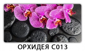 Стол раздвижной Трилогия с фотопечатью Доска D111 в Ноябрьске - noyabrsk.mebel24.online | фото 14