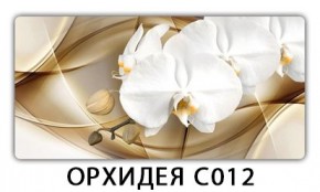 Стол раздвижной Трилогия с фотопечатью Доска D112 в Ноябрьске - noyabrsk.mebel24.online | фото 13