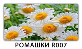 Стол раздвижной Трилогия с фотопечатью Доска D112 в Ноябрьске - noyabrsk.mebel24.online | фото 15