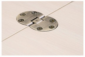 Стол-трансформер Престиж в Ноябрьске - noyabrsk.mebel24.online | фото 10