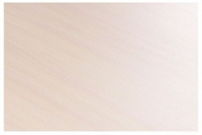 Стол-трансформер Престиж в Ноябрьске - noyabrsk.mebel24.online | фото 8