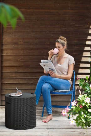 Столик-холодильник Кул-Стул (Cool stool) графит в Ноябрьске - noyabrsk.mebel24.online | фото 1