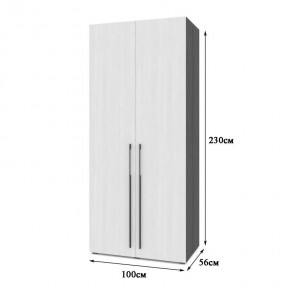 СТОУН С22 Шкаф 2-х створчатый (анкор темный/анкор светлый) в Ноябрьске - noyabrsk.mebel24.online | фото 2