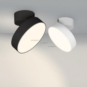 Светильник на штанге Arlight SP-RONDO-FLAP-R210-20W Day4000 (BK, 110 deg) 026453 в Ноябрьске - noyabrsk.mebel24.online | фото 3