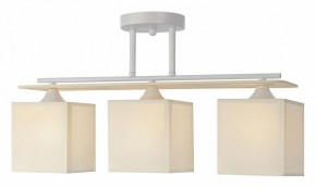 Светильник на штанге Escada Ares 1117/3PL в Ноябрьске - noyabrsk.mebel24.online | фото 2