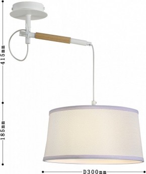 Светильник на штанге F-promo Eureka 3005-1P в Ноябрьске - noyabrsk.mebel24.online | фото 5