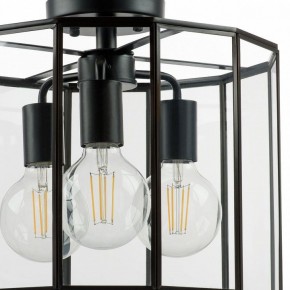 Светильник на штанге Lightstar Genni 798237 в Ноябрьске - noyabrsk.mebel24.online | фото 4