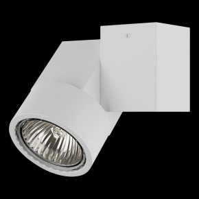 Светильник на штанге Lightstar Illumo X1 051026 в Ноябрьске - noyabrsk.mebel24.online | фото 2