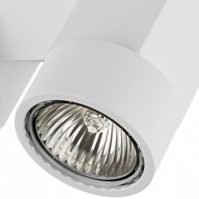 Светильник на штанге Lightstar Illumo X2 051036 в Ноябрьске - noyabrsk.mebel24.online | фото 2