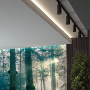 Светильник на штанге Novotech Dep 358595 в Ноябрьске - noyabrsk.mebel24.online | фото 3