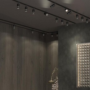 Светильник на штанге Novotech Elina 370777 в Ноябрьске - noyabrsk.mebel24.online | фото 4