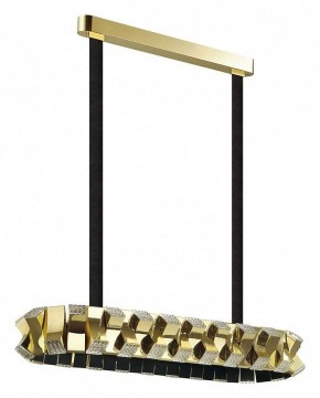 Светильник на штанге Odeon Light Asturo 4993/80LA в Ноябрьске - noyabrsk.mebel24.online | фото 3