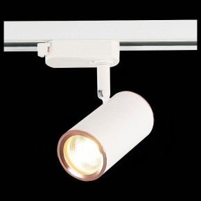 Светильник на штанге ST-Luce Cromi ST301.526.01 в Ноябрьске - noyabrsk.mebel24.online | фото 6