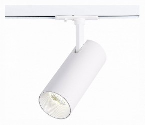 Светильник на штанге ST-Luce Mono ST350.536.20.36 в Ноябрьске - noyabrsk.mebel24.online | фото 2