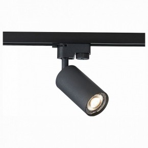 Светильник на штанге ST-Luce Solt ST300.406.01 в Ноябрьске - noyabrsk.mebel24.online | фото 1