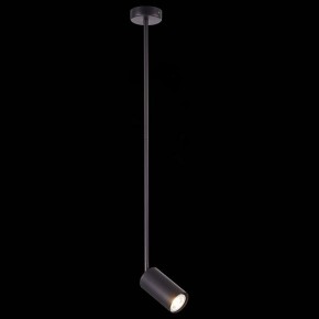 Светильник на штанге ST-Luce Sormano SL1206.403.01 в Ноябрьске - noyabrsk.mebel24.online | фото 3