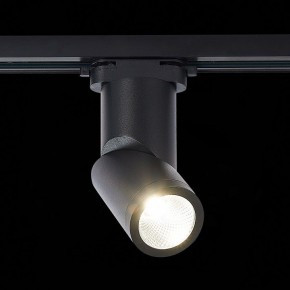 Светильник на штанге ST-Luce ST650 ST650.436.10 в Ноябрьске - noyabrsk.mebel24.online | фото 3