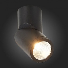 Светильник на штанге ST-Luce ST650 ST650.442.10 в Ноябрьске - noyabrsk.mebel24.online | фото 6