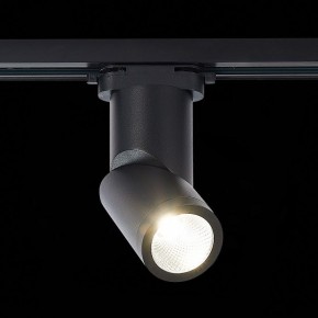 Светильник на штанге ST-Luce ST650 ST650.446.10 в Ноябрьске - noyabrsk.mebel24.online | фото 2