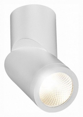 Светильник на штанге ST-Luce ST650 ST650.542.10 в Ноябрьске - noyabrsk.mebel24.online | фото 3