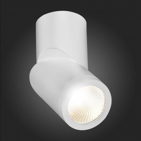 Светильник на штанге ST-Luce ST650 ST650.542.10 в Ноябрьске - noyabrsk.mebel24.online | фото 6