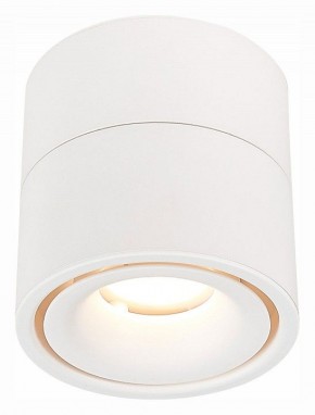 Светильник на штанге ST-Luce ST652 ST652.532.12 в Ноябрьске - noyabrsk.mebel24.online | фото 2