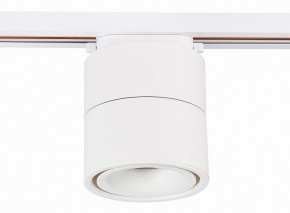 Светильник на штанге ST-Luce ST652 ST652.546.12 в Ноябрьске - noyabrsk.mebel24.online | фото 2