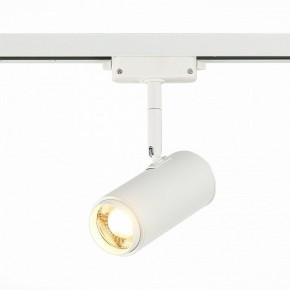 Светильник на штанге ST-Luce Zoom ST600.536.12 в Ноябрьске - noyabrsk.mebel24.online | фото 2