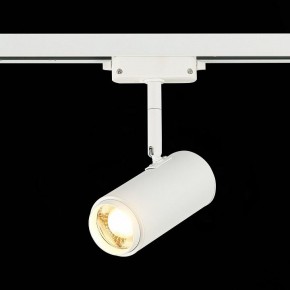 Светильник на штанге ST-Luce Zoom ST600.536.12 в Ноябрьске - noyabrsk.mebel24.online | фото 4