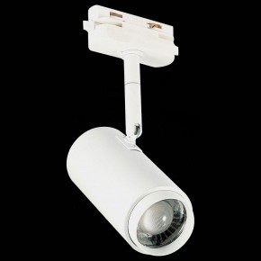 Светильник на штанге ST-Luce Zoom ST600.546.12 в Ноябрьске - noyabrsk.mebel24.online | фото 6