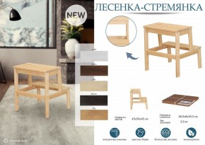 Табурет Стремянка в Ноябрьске - noyabrsk.mebel24.online | фото 6