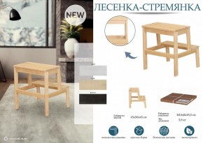 Табурет Стремянка в Ноябрьске - noyabrsk.mebel24.online | фото 3