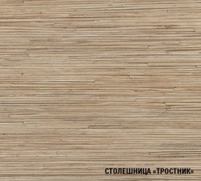 ТОМИЛЛА Кухонный гарнитур Оптима 5 (2700*1600 мм ) в Ноябрьске - noyabrsk.mebel24.online | фото 6