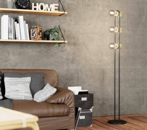 Торшер Eglo ПРОМО Chieveley 43544 в Ноябрьске - noyabrsk.mebel24.online | фото 2