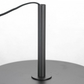 Торшер Lussole  LSP-0590 в Ноябрьске - noyabrsk.mebel24.online | фото 3