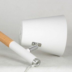 Торшер Lussole Buckeye LSP-0628 в Ноябрьске - noyabrsk.mebel24.online | фото 4