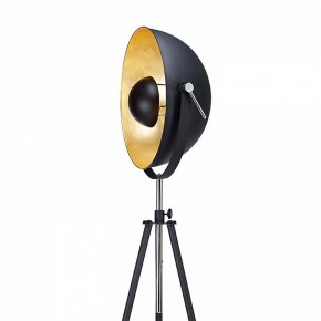 Торшер Lussole Sherrelwood GRLSP-9824 в Ноябрьске - noyabrsk.mebel24.online | фото 5