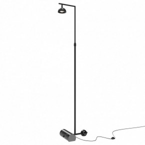 Торшер Maytoni Pikant MOD372FL-L10B3K в Ноябрьске - noyabrsk.mebel24.online | фото