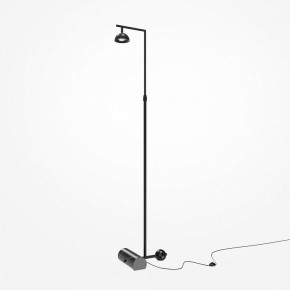 Торшер Maytoni Pikant MOD372FL-L10B3K в Ноябрьске - noyabrsk.mebel24.online | фото 2