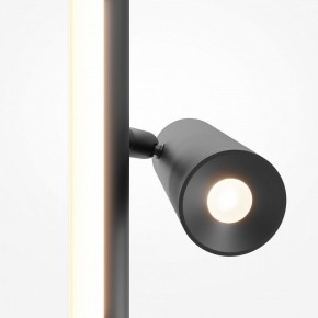 Торшер Maytoni Thin MOD395FL-L28B3K в Ноябрьске - noyabrsk.mebel24.online | фото 6