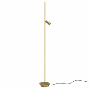 Торшер Maytoni Thin MOD395FL-L28BS3K в Ноябрьске - noyabrsk.mebel24.online | фото