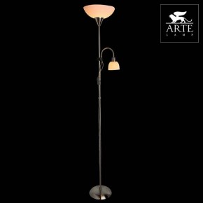 Торшер с подсветкой Arte Lamp Duetto A9569PN-2SS в Ноябрьске - noyabrsk.mebel24.online | фото 3