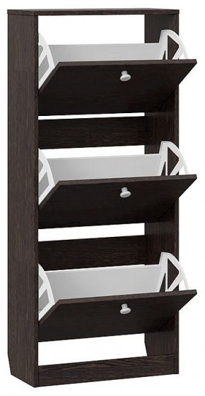 Тумба для обуви Тетра Тип 1 Исп.2 в Ноябрьске - noyabrsk.mebel24.online | фото 2