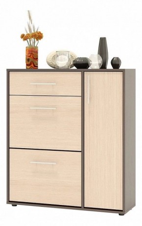Тумба для обуви ТП-4 в Ноябрьске - noyabrsk.mebel24.online | фото