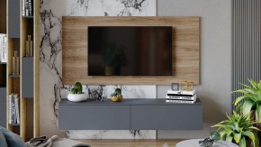 Тумба под ТВ Порто ТД-393.03.11 в Ноябрьске - noyabrsk.mebel24.online | фото 7
