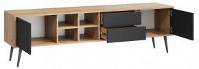 Тумба под ТВ Тип 5 в Ноябрьске - noyabrsk.mebel24.online | фото 2