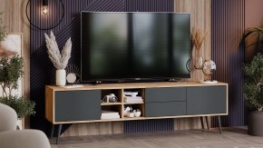 Тумба под ТВ Тип 5 в Ноябрьске - noyabrsk.mebel24.online | фото 5