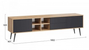 Тумба под ТВ Тип 5 в Ноябрьске - noyabrsk.mebel24.online | фото 6